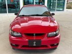 Thumbnail Photo 2 for 1999 Ford Mustang Cobra Coupe